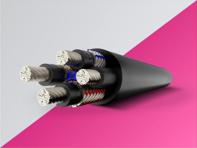 3D Graphic Designs